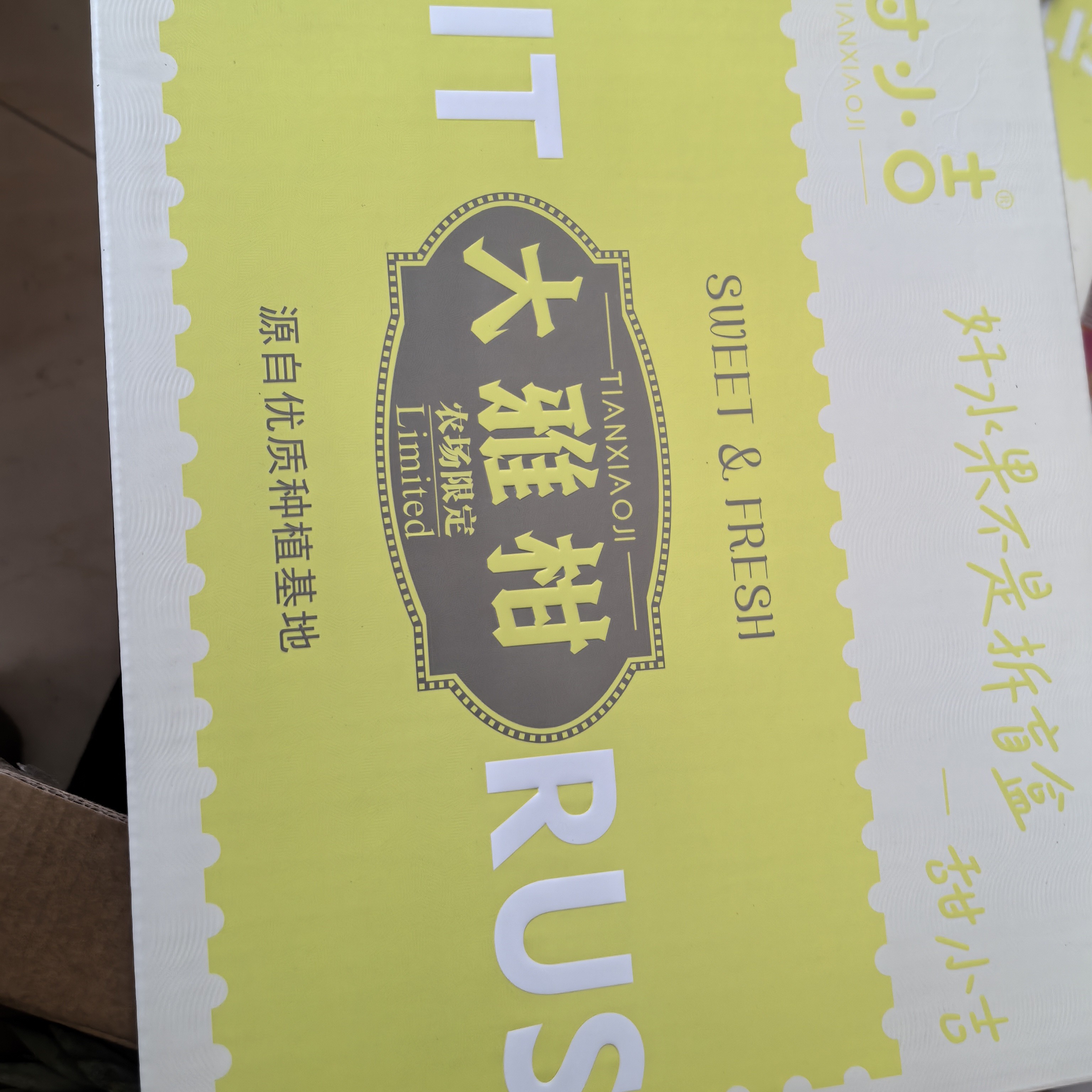 四川耙耙柑春见丑桔大礼盒毛8斤（沈阳跑腿）辽宁省