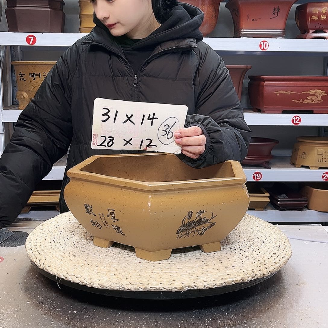 紫砂花盆紫砂花盆
