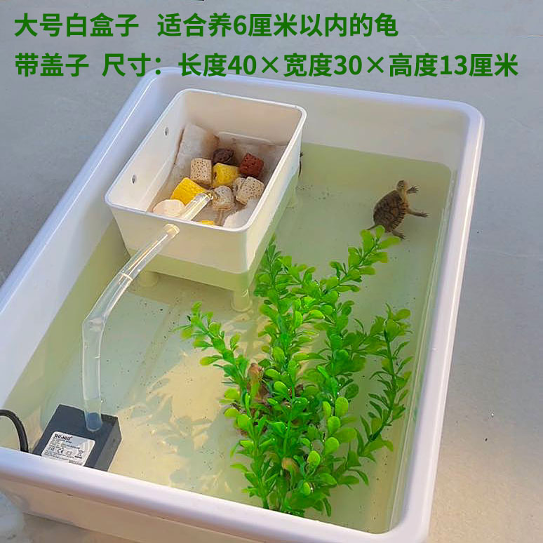 乌龟缸发色盒子塑料箱子