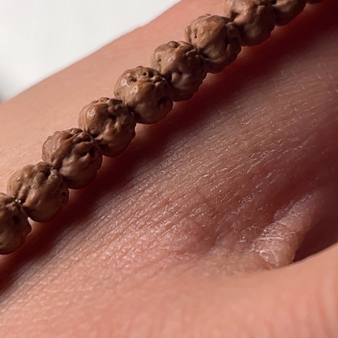 ****天吊坠文玩核桃原桩佛手五爪金龙尺寸5.9