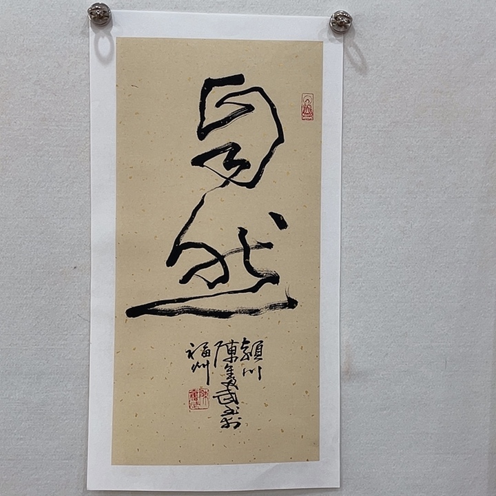 横款博航艺术书法作品集