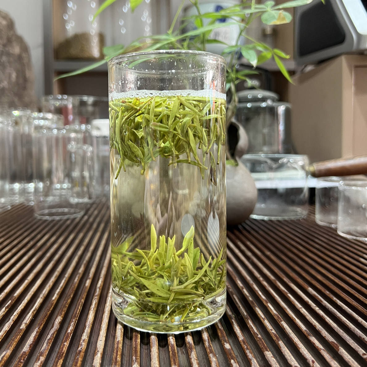 新茶小芽栗香霍山黄芽