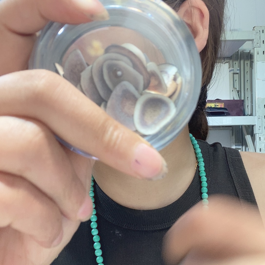 香榧木啊啊啊啊啊啊啊啊啊