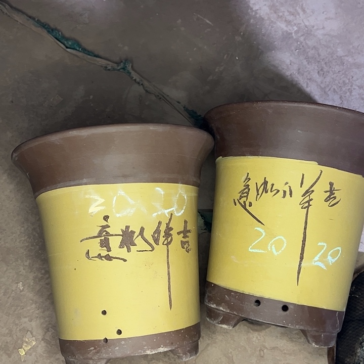 紫砂艺术学院美术