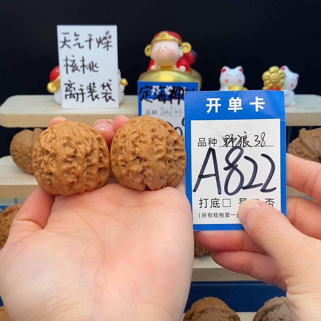 文玩核桃把件野狼38