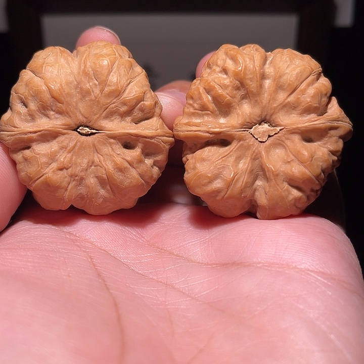 缘***灭手串/手链核桃蛤蟆头  