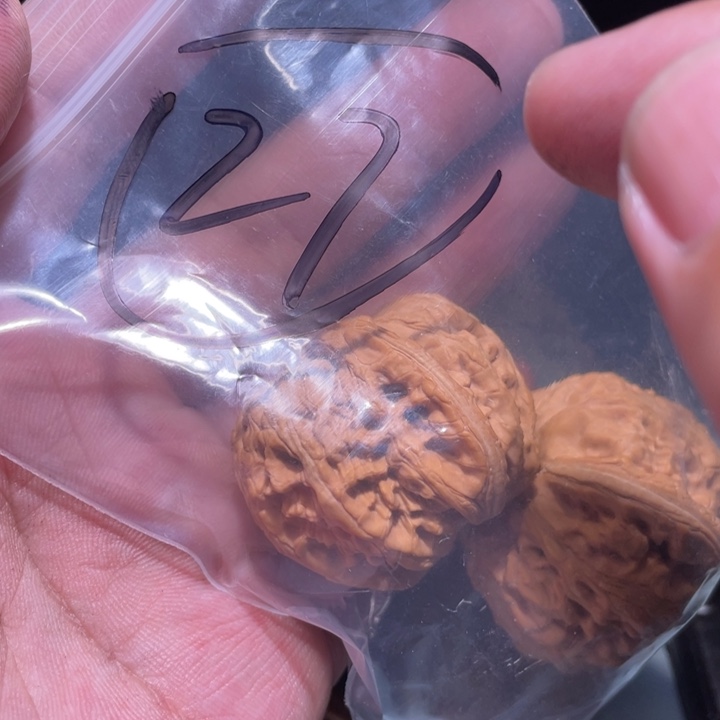 文玩核桃吊坠27呃呃呃