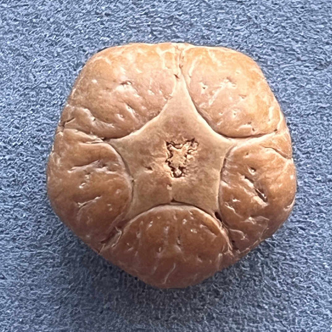 16五星，很正尺寸19.2，厚13.5，一物一图，打孔后不退不换