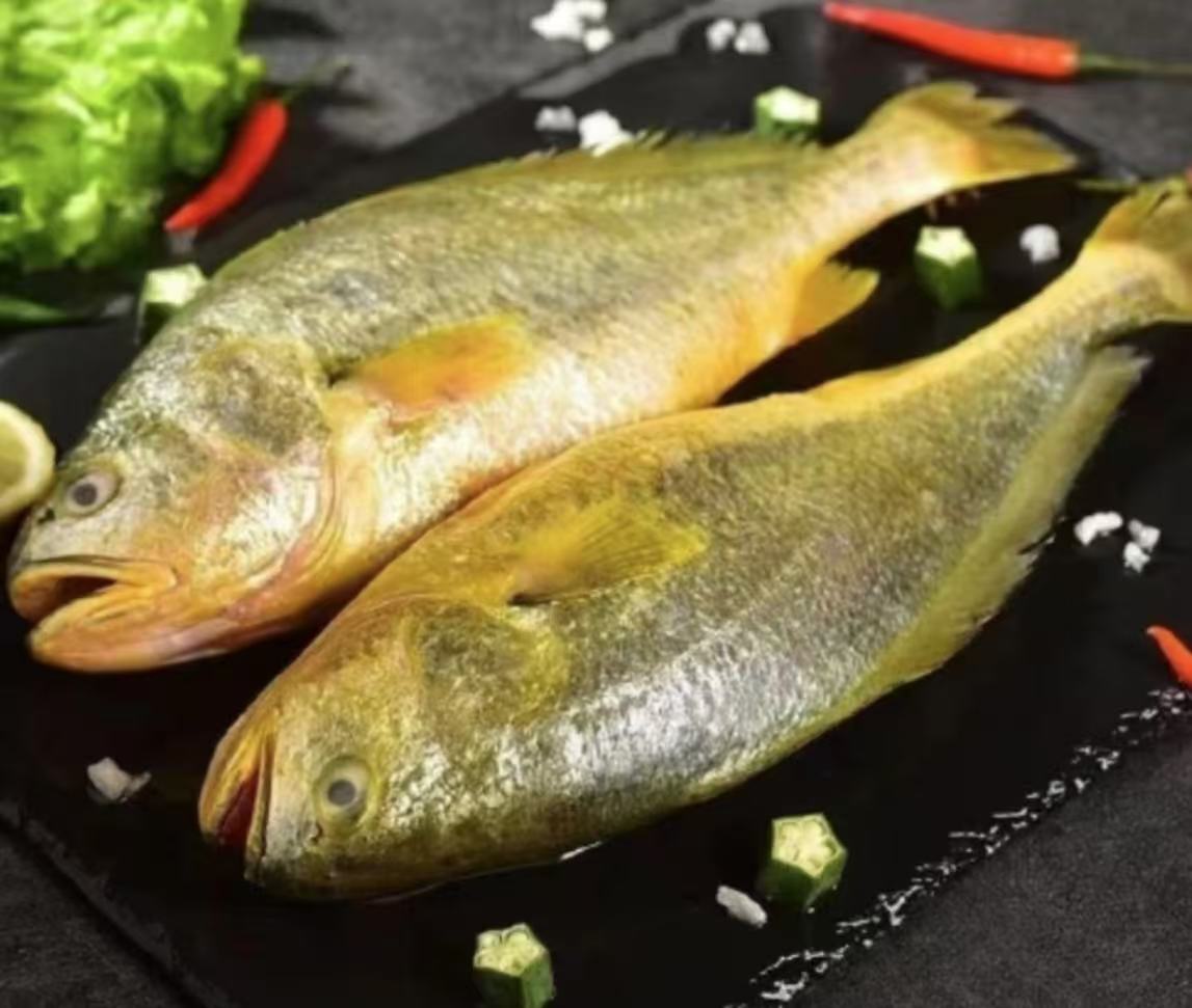 冰鲜大黄鱼 江苏连云港发货