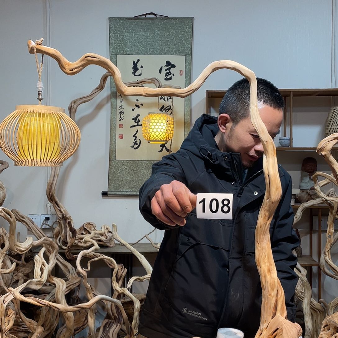 柏木大*杜鹃花盛开于春天