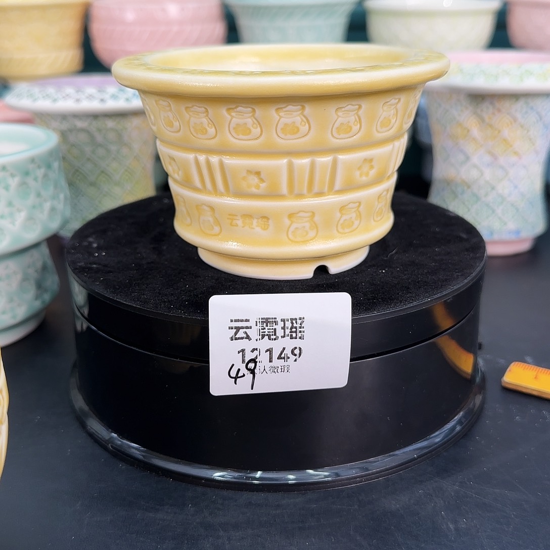 M***y12149盆口径8。    