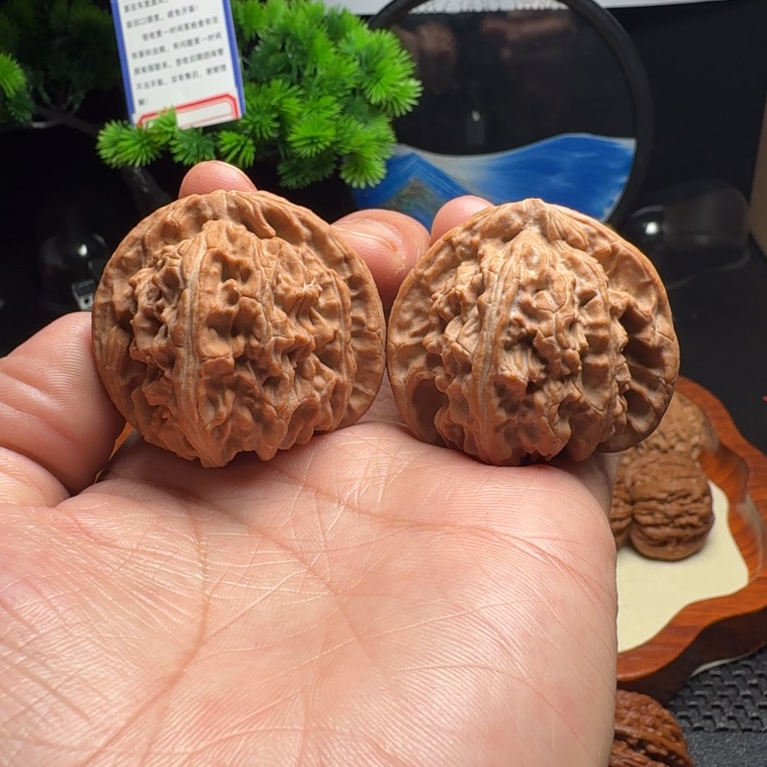 把件文玩核桃全品白狮子45