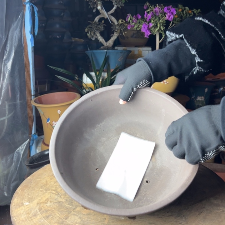 紫砂紫砂花盆花盆1