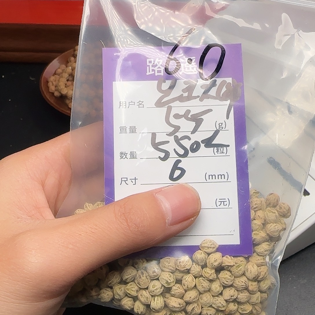 出****柏香籽/百香籽吊坠