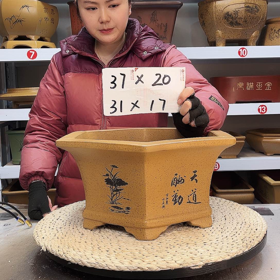 紫砂花盆紫砂花盆