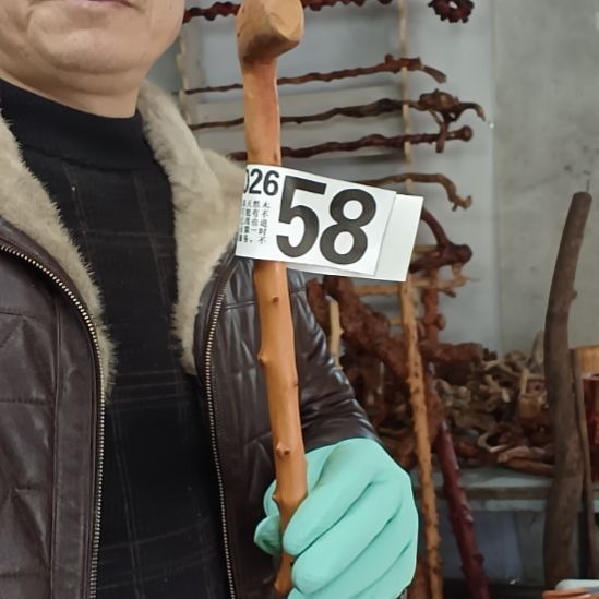 索***龙香榧木高山 檬子木文玩料