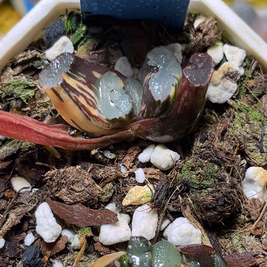 恭喜发财大吉大利626