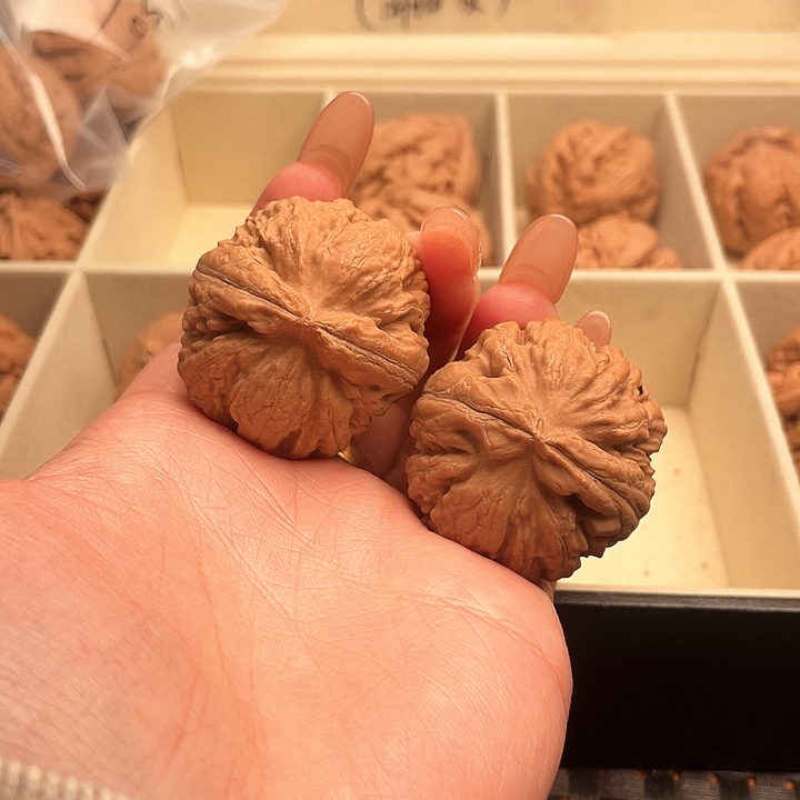 ⑥***霸王龙核桃尺寸36