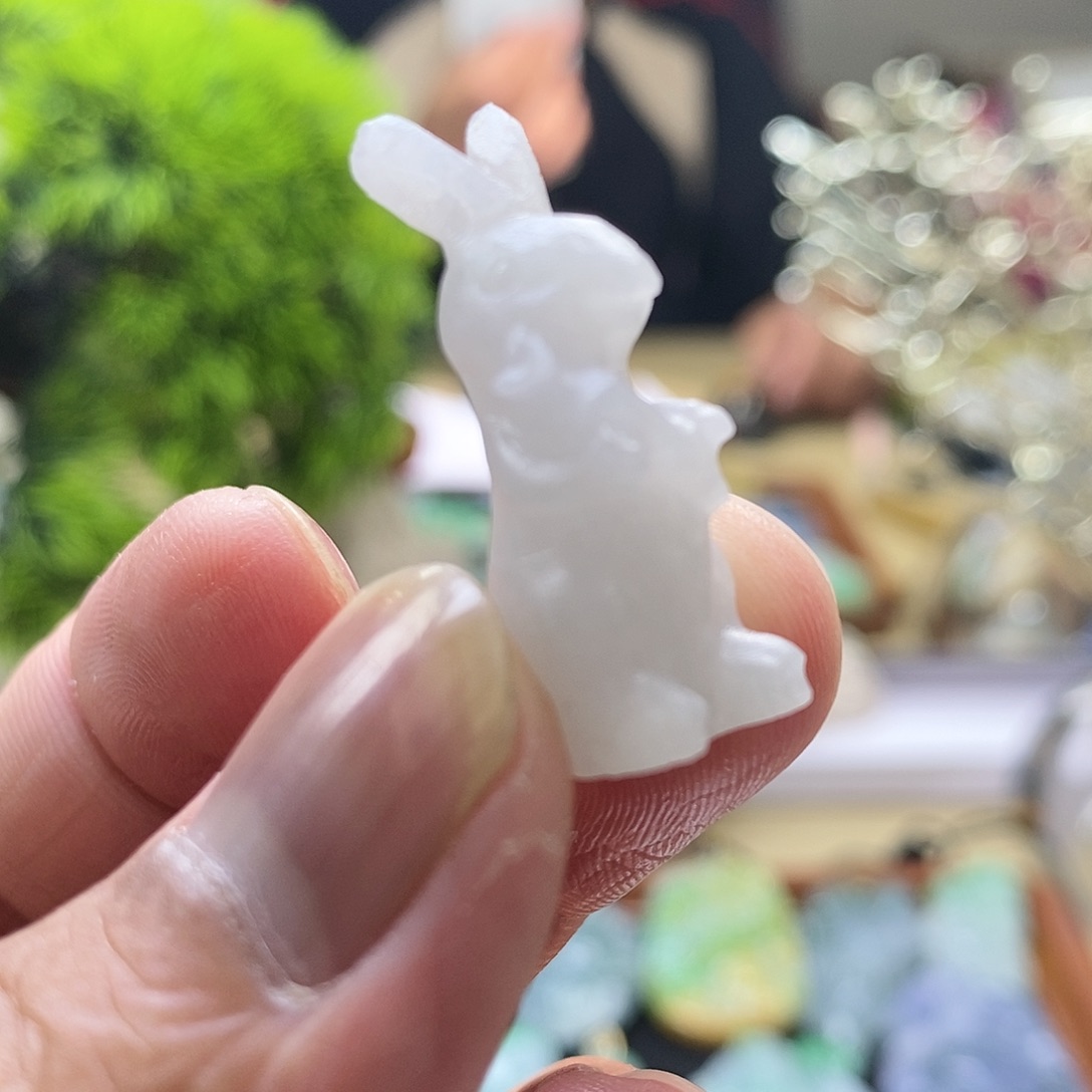 【闪购商品】翡翠颈饰未镶嵌111111111111