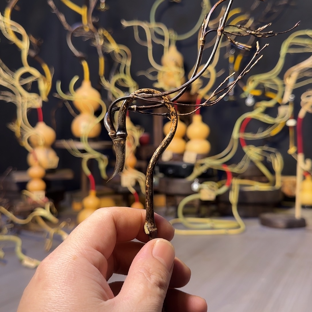 倒流香葫芦龙头一个