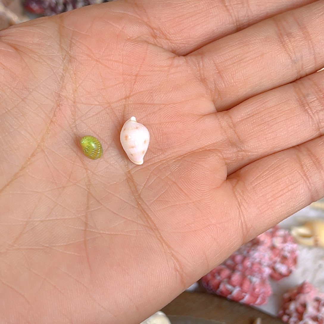 大理石磁石2*3天然贝壳特价款不退不换