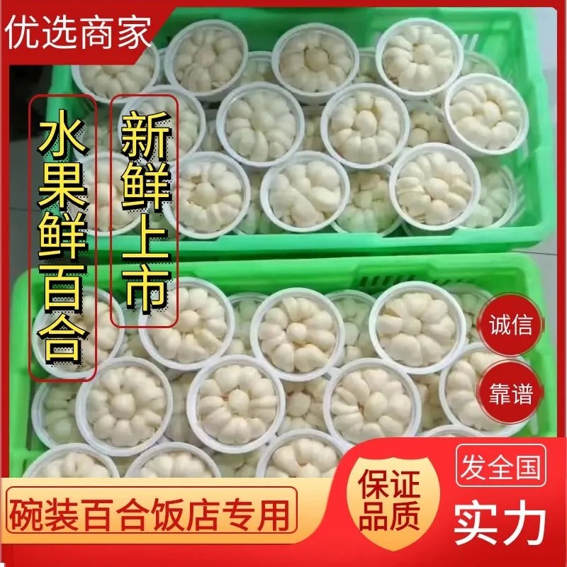 兰州应季新鲜百合食用百合兰州百合碗装125克生吃熟吃皆宜