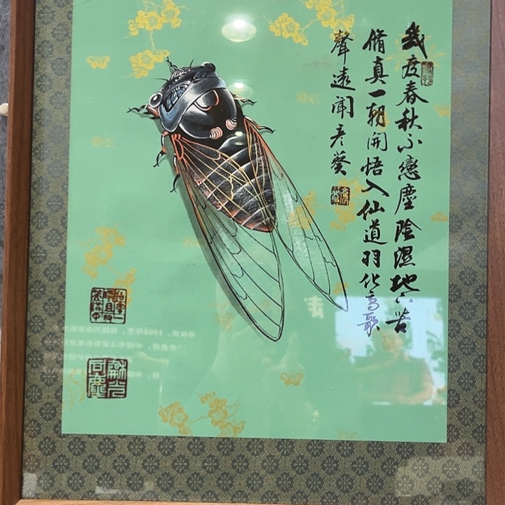 书法书法作品欣赏艺术
