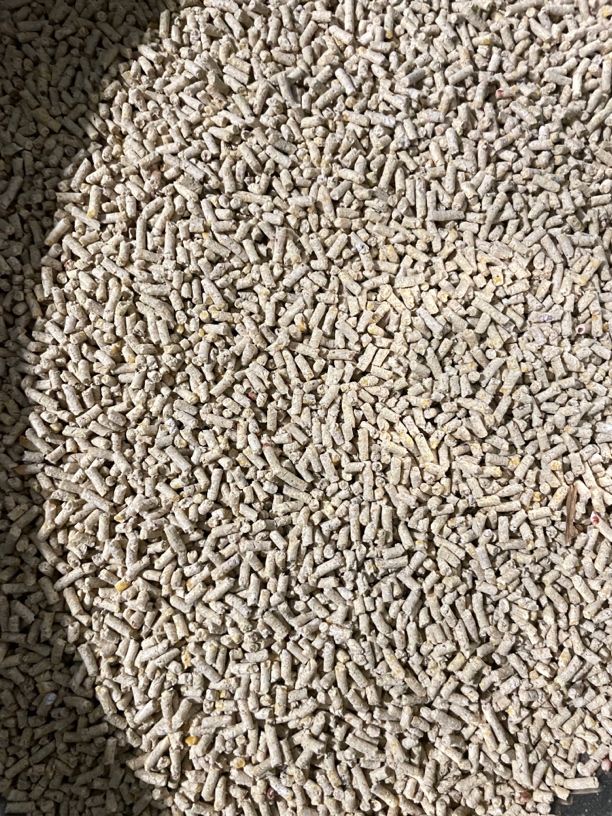 鸡媒提性饲料只有用过的人才知道