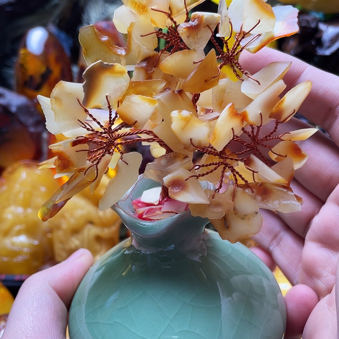 琥珀未镶嵌裸石琥珀树