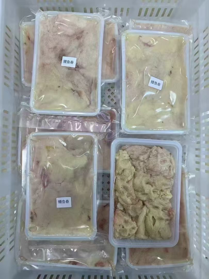 广东汕尾本港鳗鱼春