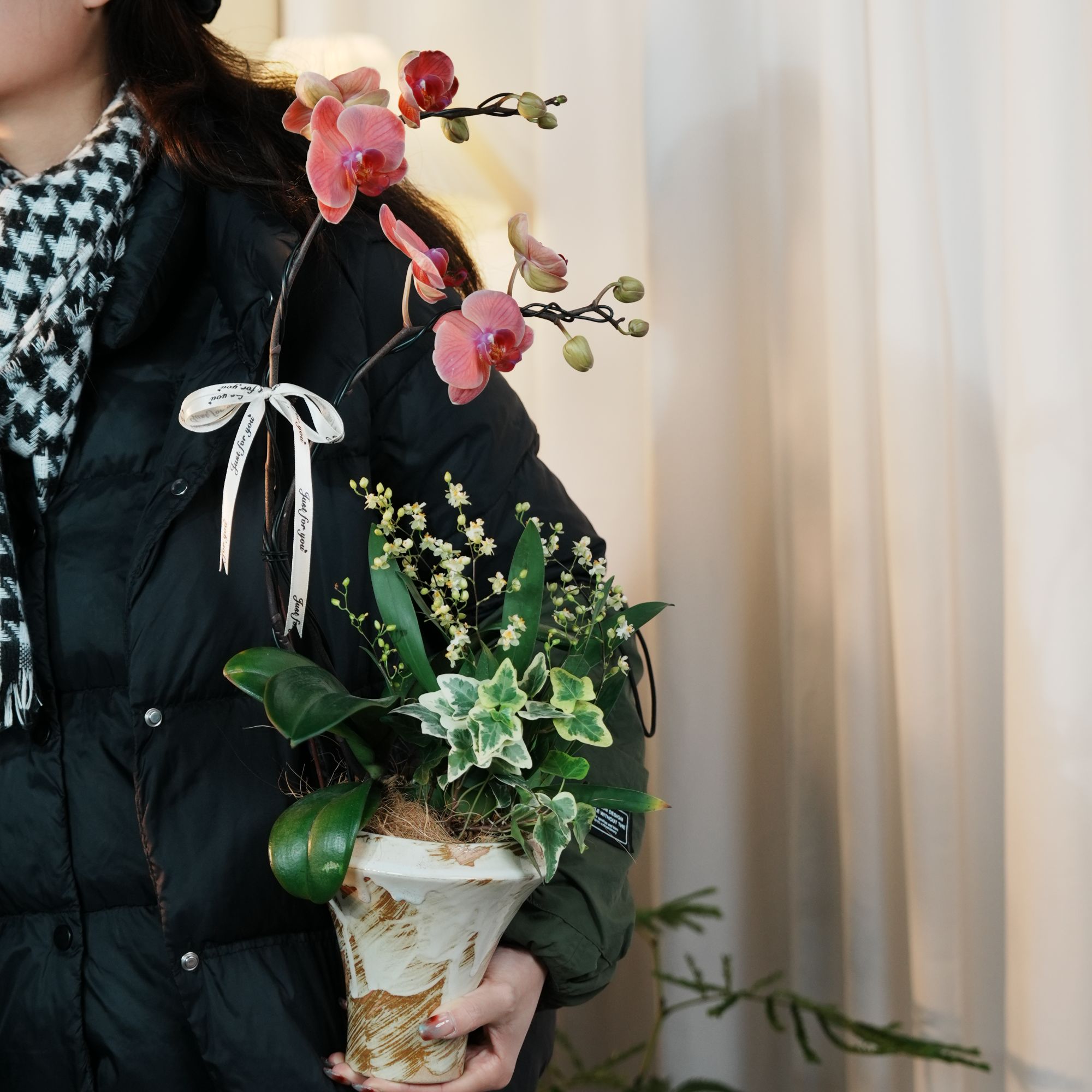 蝴蝶兰文心兰组合盆栽室内年宵开花植物乔迁节日送爱人带盆栽好