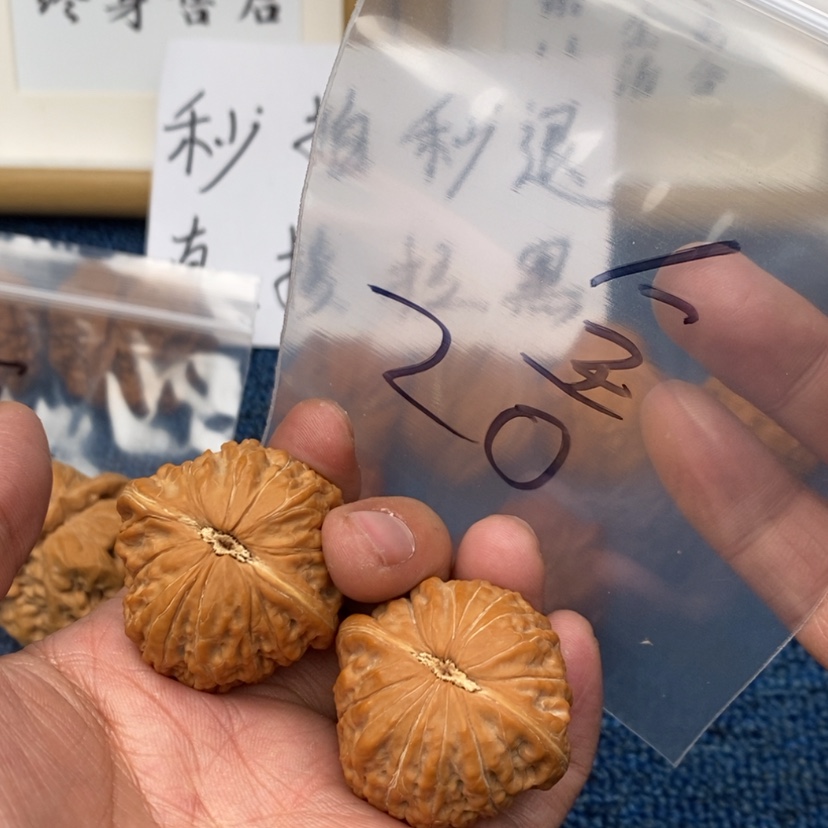 【闪购商品】文玩核桃把件537753753357573