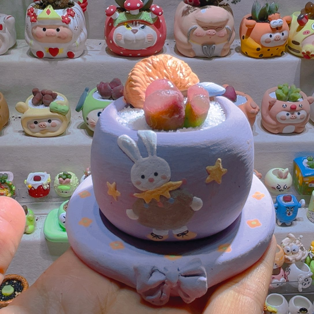 058高端多肉带盆土一套58