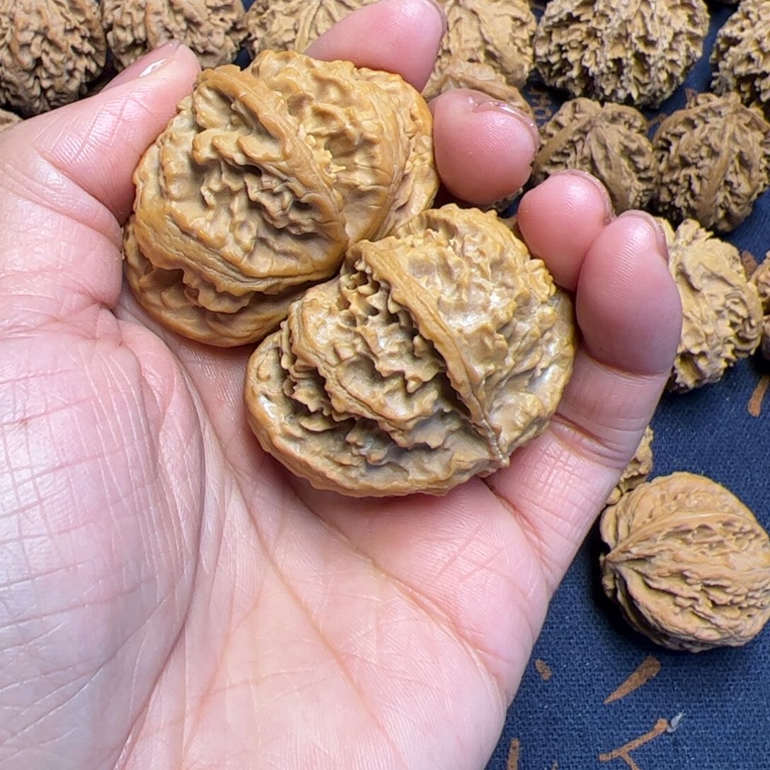文玩核桃把件秦岭野生植物核桃