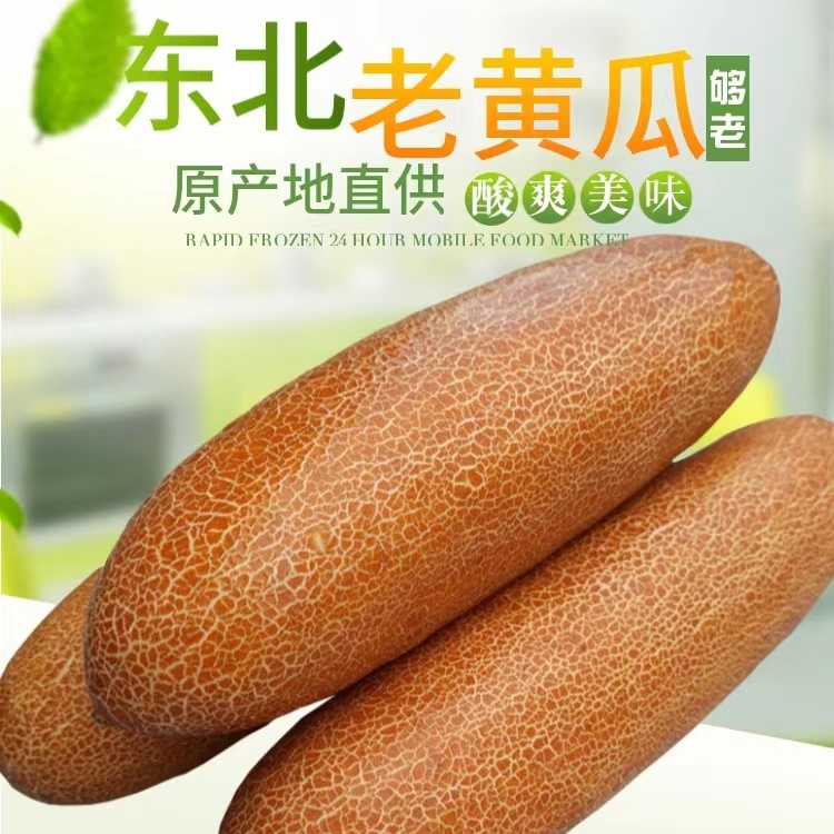 东北新鲜老黄瓜酸脆多汁可生吃凉拌炖汤的农家蔬菜精品新鲜蔬菜