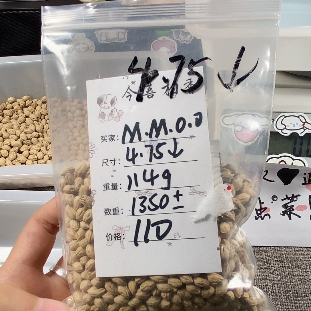 M***O柏香籽/百香籽吊坠