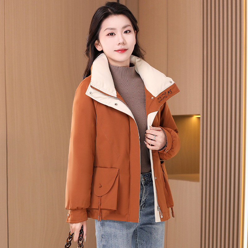 DS1740冬季优雅新款气质时尚大气减龄保暖羽绒服