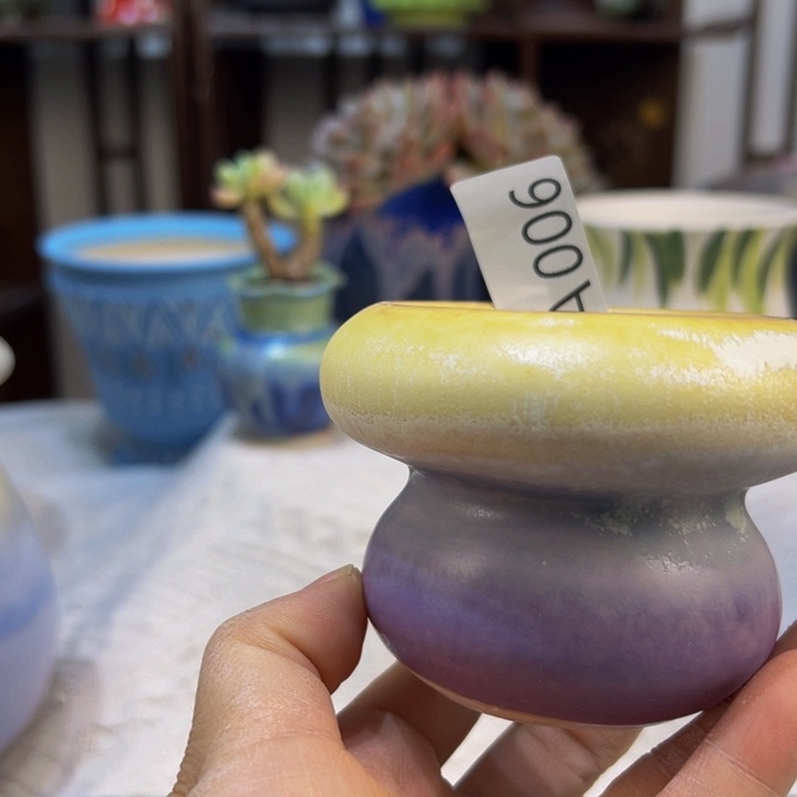 景德镇陶瓷研究所