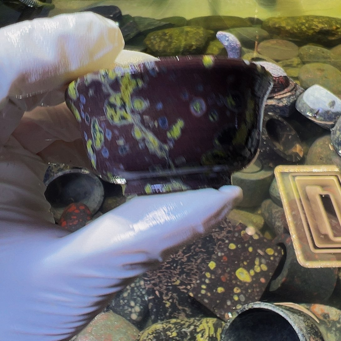 梅花玉鱼缸石茶周边不退不换