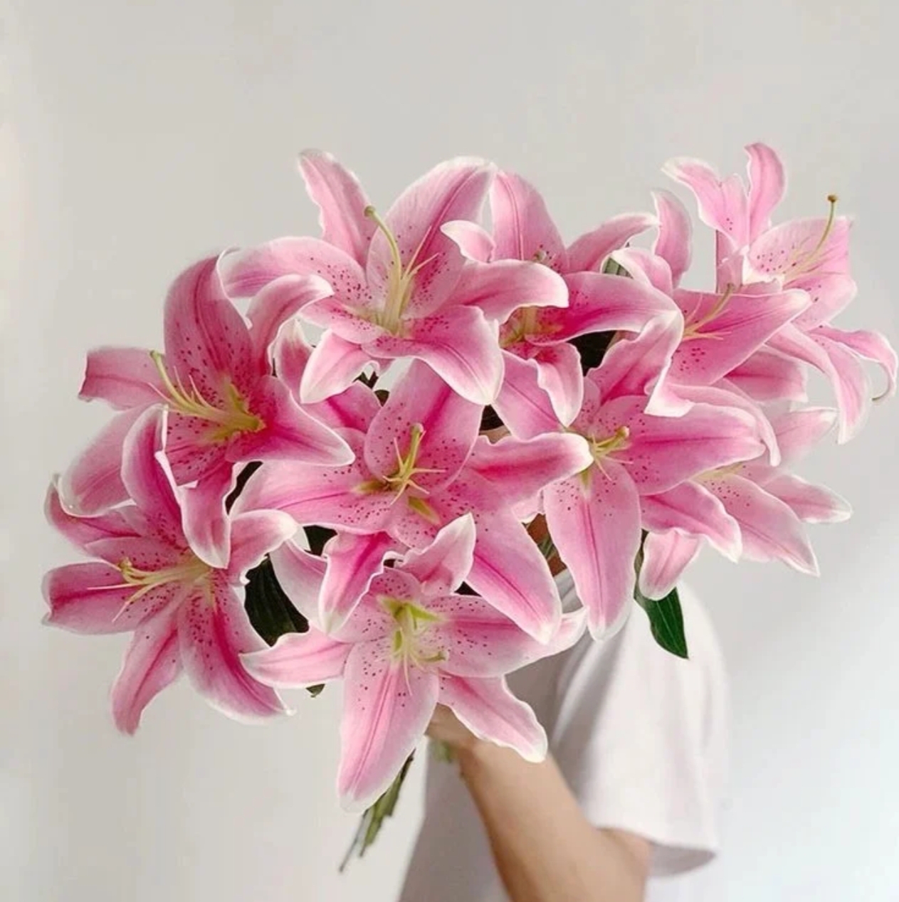 【粉色香水百合】-云南基地直发-全场任意两单升级冷链快递