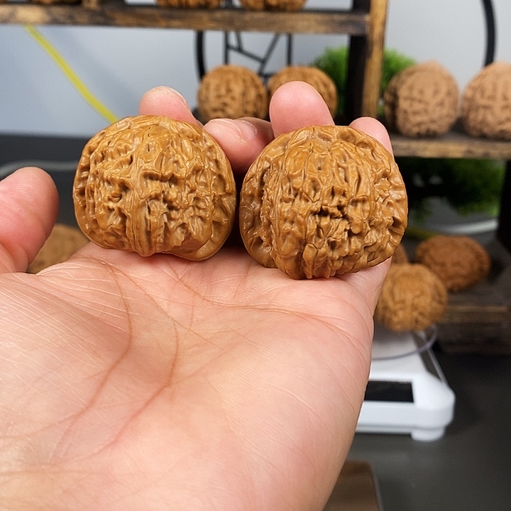 文玩核桃把件白狮子40尺寸红皮果骨质嘎嘎棒