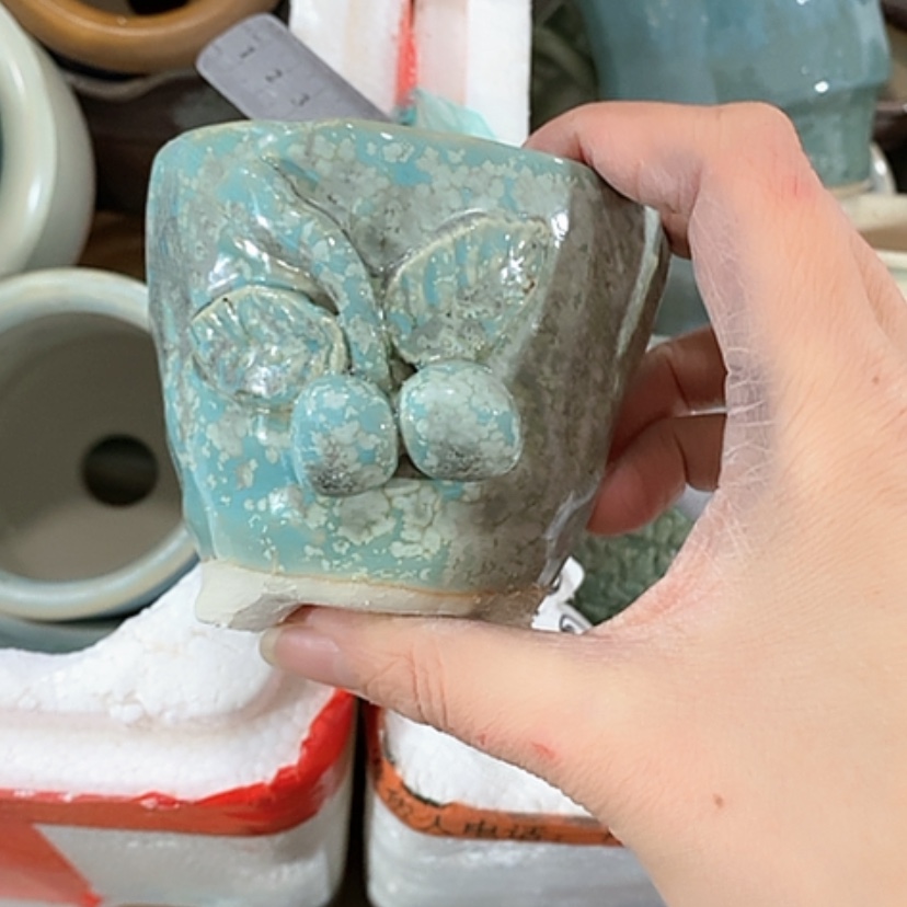 【闪购商品】红陶口7