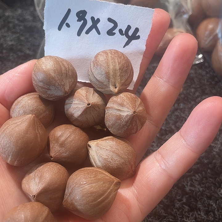 一***俗吊坠橄榄核1.9✖️2.4