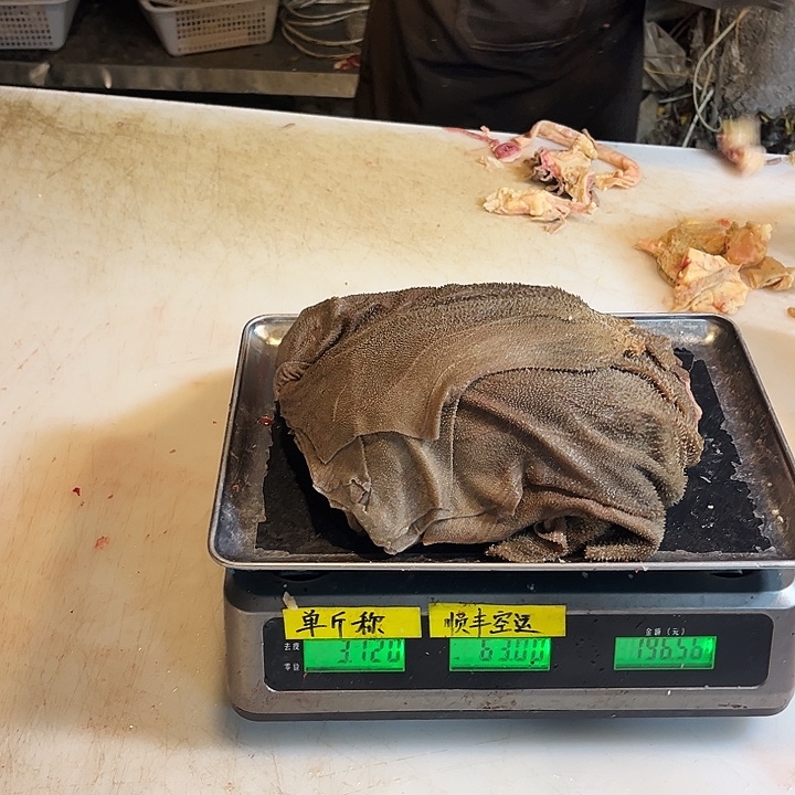 夜***神18中国大陆虚报n吧