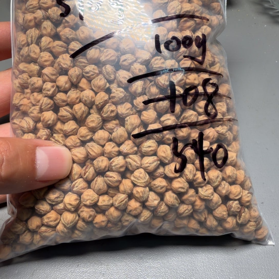 吊坠柏香籽/百香籽K***y