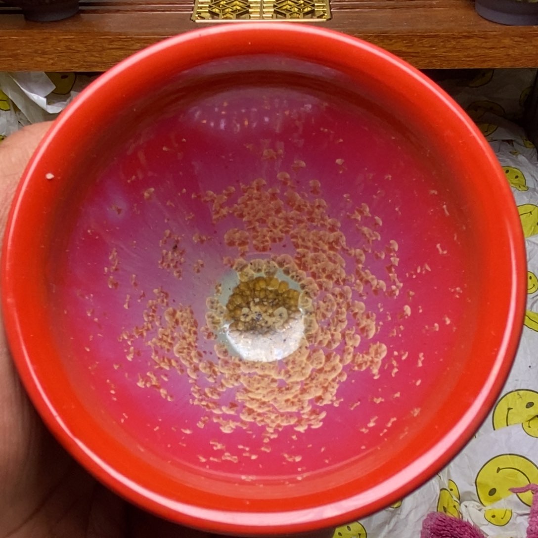 茶盏建盏喝茶主人杯茶杯