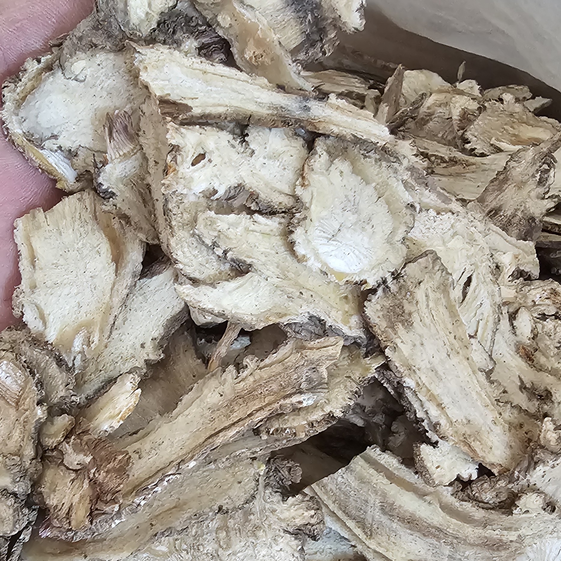 【甘肃岷县当归残片】有大有小无硫新货可搭配党参黄芪中药材煲汤