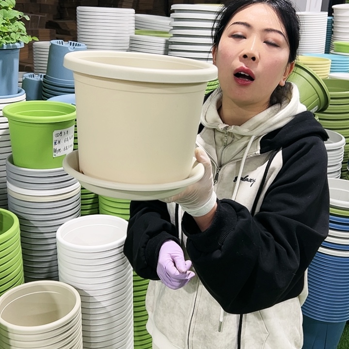 特价3号四季口21高18米色10只带托