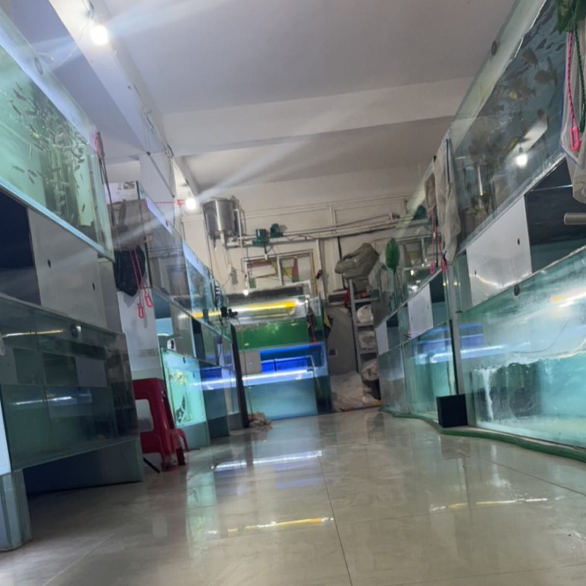 热带鱼直播间补邮差专属链接100-200-300