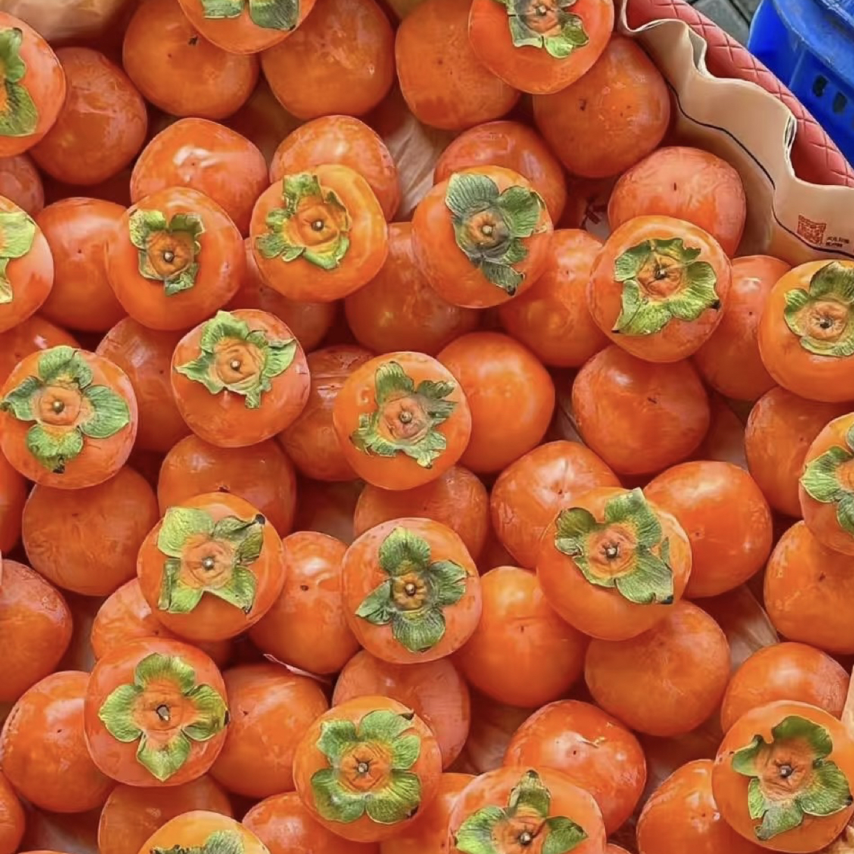 纯甜火晶柿子软柿2盒共24颗